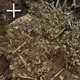 The grave in which the remains of a 20-year-old Neolithic woman were found.